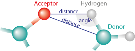 hydrogen bond